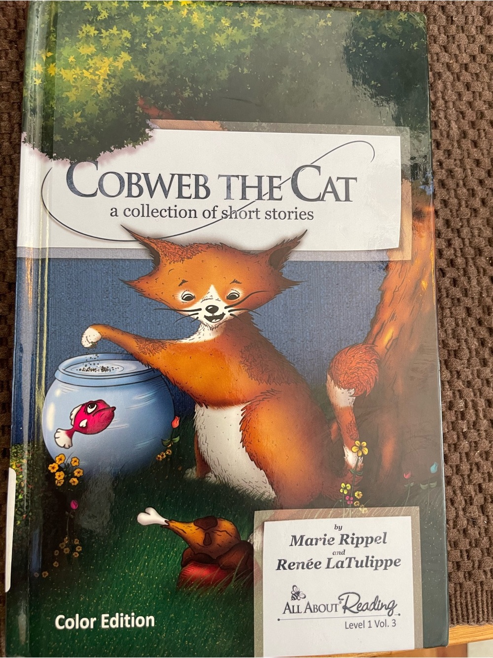 Cobweb the Cat Color Edition - Orange Illustrated Kids Book